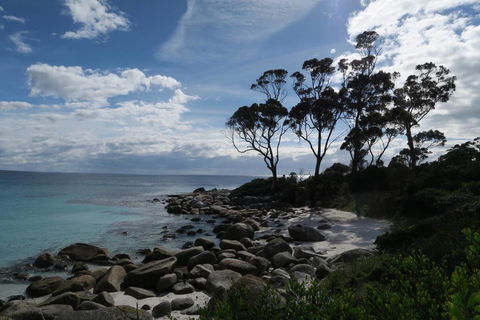 Binalong Bay Beach Shack - Accommodation Perth 0