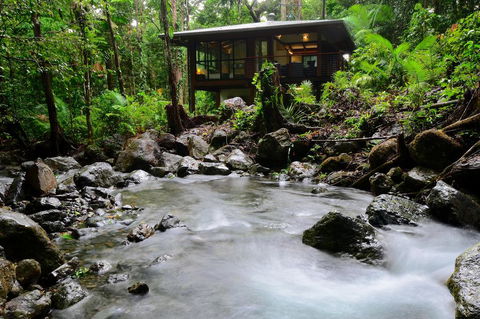 Black Palm Cape Tribulation - Accommodation Perth 2