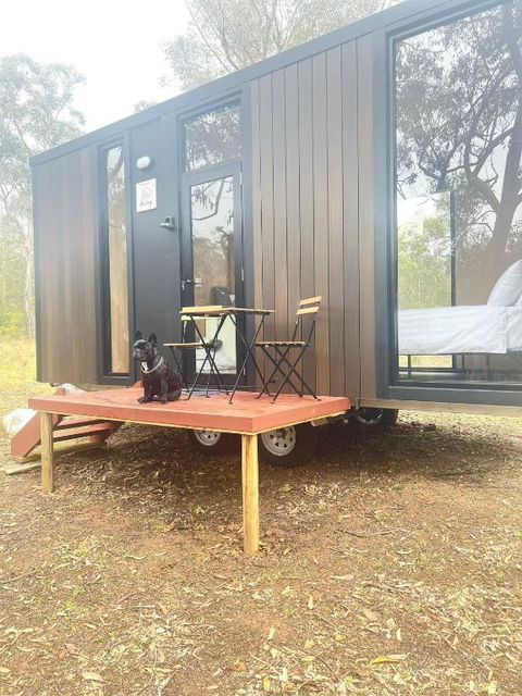 Whispering Wallaby By Tiny Away - Accommodation Perth 1