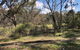 Yarrabin Retreat A Frame House - thumb 3