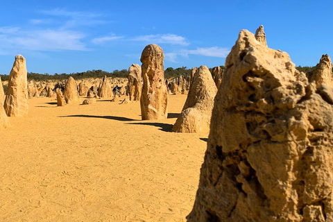 Pinnacles Desert (Private) Day Tour - Accommodation Perth 0