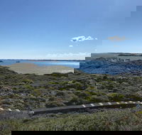 Penguin Island And Fremantle - Canoe Chocolate  Coffee - Accommodation Perth