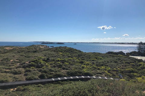 Penguin Island And Fremantle - Canoe, Chocolate & Coffee - Accommodation Perth 0