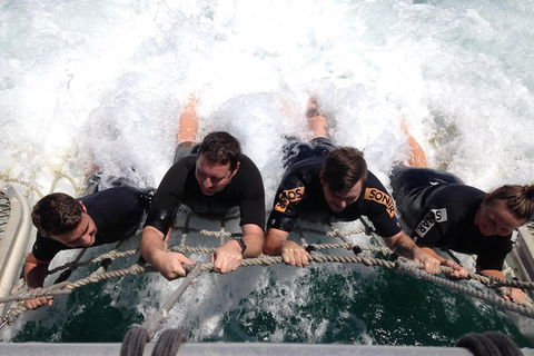 Cruise In Moreton Bay Marine Park And Moreton Island - Accommodation Perth 0