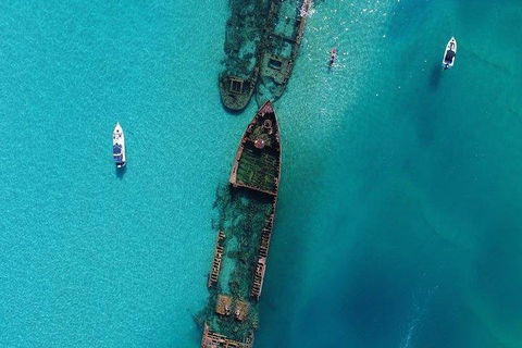 Cruise In Moreton Bay Marine Park And Moreton Island - Accommodation Perth 1