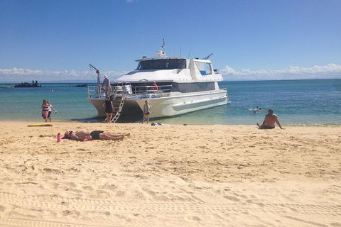 Cruise In Moreton Bay Marine Park And Moreton Island - Accommodation Perth 4