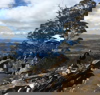 kunanyi / Mt Wellington Explorer Bus - 2 Hour Return Tour - Accommodation Perth