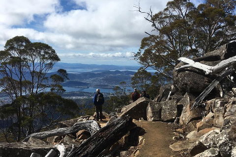 Kunanyi / Mt Wellington Explorer Bus - 2 Hour Return Tour - Accommodation Perth 0