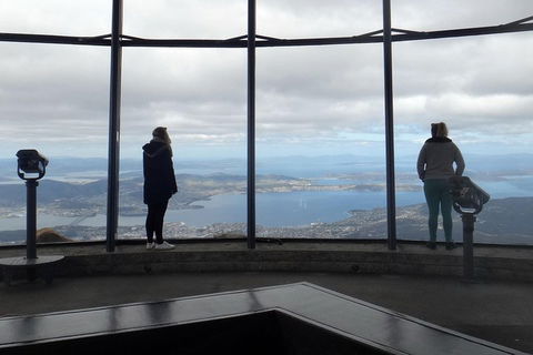 Kunanyi / Mt Wellington Explorer Bus - 2 Hour Return Tour - Accommodation Perth 1