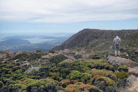 Kunanyi / Mt Wellington Explorer Bus - 2 Hour Return Tour - Accommodation Perth 3
