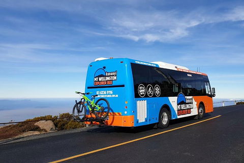 Kunanyi / Mt Wellington Explorer Bus - 2 Hour Return Tour - Accommodation Perth 4