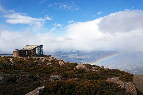 Kunanyi / Mt Wellington Explorer Bus - 2 Hour Return Tour - Accommodation Perth 5