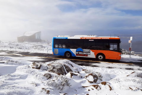 Kunanyi/Mt Wellington Tour & Hobart Hop-On Hop-Off Bus - Accommodation Perth 2