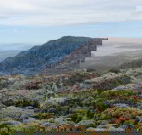 kunanyi/Mt Wellington Explorer Bus - One Way Tour - Accommodation Perth