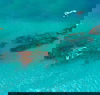Private Tangalooma Wrecks Tour - Accommodation Perth