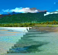 5-Day Best of Cairns with Daintree Kuranda and Great Barrier Reef - Accommodation Perth