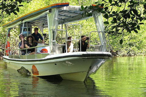 5-Day Best Of Cairns With Daintree, Kuranda, And Great Barrier Reef - Accommodation Perth 1