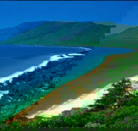 Cairns Reef and Rainforest Combo Daintree Rainforest and the Great Barrier Reef - Accommodation Perth
