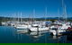 Cairns Reef And Rainforest Combo: Daintree Rainforest And The Great Barrier Reef - thumb 5