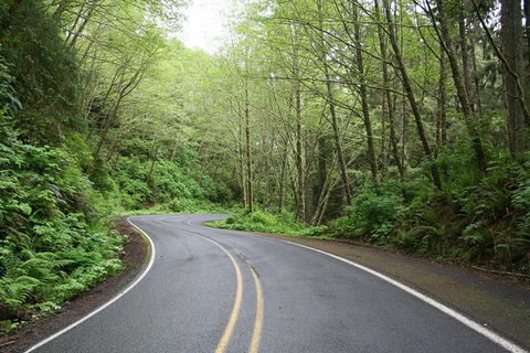 Cruise Ship Shore Excursion - Private Great Ocean Road Full Day Tour (12 Hour) - Accommodation Perth 3