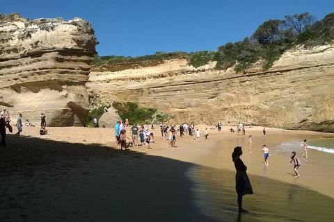 Great Ocean Road Full Day Private Experience - Accommodation Perth 3