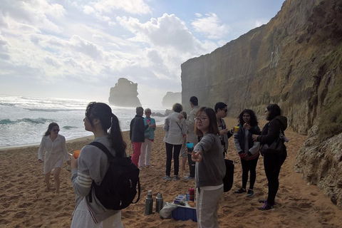 Great Ocean Road Full Day Private Experience - Accommodation Perth 4