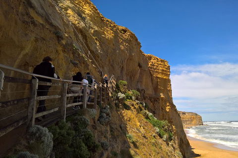 Private Express Experience - 12 Apostles - Accommodation Perth 3