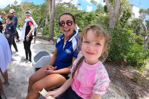 Whitehaven Beach Day Tour With Snorkel In Whitsundays Island - Accommodation Perth 1