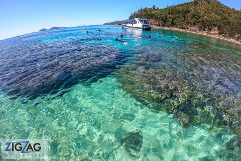 Whitehaven Beach Day Tour With Snorkel In Whitsundays Island - Accommodation Perth 5