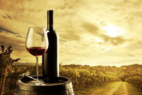 McLaren Vale Luxury Wine Tour - Accommodation Perth 0