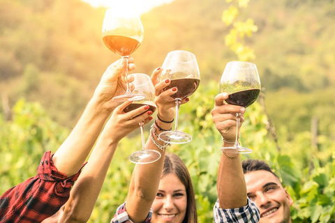 McLaren Vale Luxury Wine Tour - Accommodation Perth 2