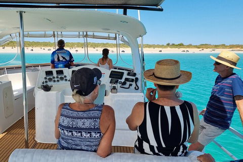 Snubfin Dolphin Eco Cruise From Broome - Accommodation Perth 5