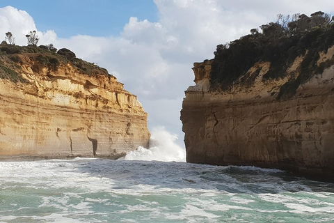 12 Apostles Tour From Warrnambool - Accommodation Perth 2