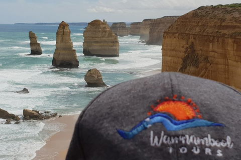 12 Apostles Tour From Warrnambool - Accommodation Perth 4