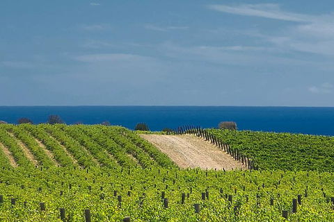 McLaren Vale Winery Small Group Tour With Wine Tasting And Lunch - Accommodation Perth 4