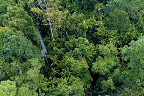 Natural Bridge, Skywalk And Mt Tamborine Adventure! - Accommodation Perth 2