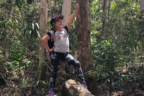 Natural Bridge, Skywalk And Mt Tamborine Adventure! - Accommodation Perth 3