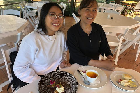 Natural Bridge, Skywalk And Mt Tamborine Adventure! - Accommodation Perth 5