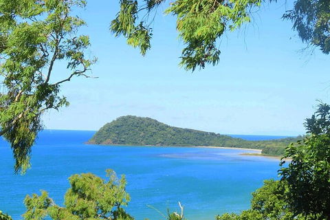 Full Day Tour In The Daintree - Accommodation Perth 1