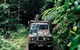 Full Day Tour In The Daintree - thumb 4