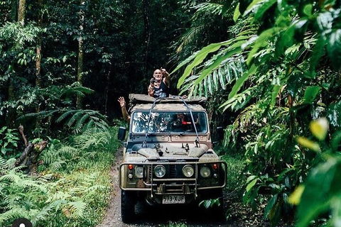 Full Day Tour In The Daintree - Accommodation Perth 4