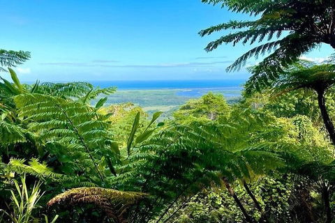 Full Day Tour In The Daintree - Accommodation Perth 5