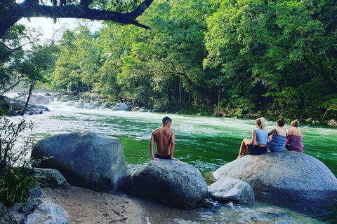 Afternoon Half-Day Daintree Rainforest And River Tour - Accommodation Perth 0