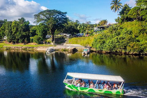 Afternoon Half-Day Daintree Rainforest And River Tour - Accommodation Perth 1