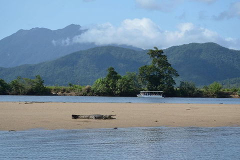 Afternoon Half-Day Daintree Rainforest And River Tour - Accommodation Perth 2