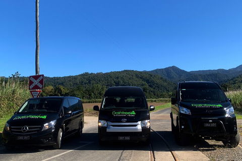 Afternoon Half-Day Daintree Rainforest And River Tour - Accommodation Perth 4