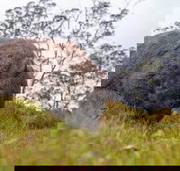 3-Day Cradle Mountain Photography Workshop - Accommodation Perth