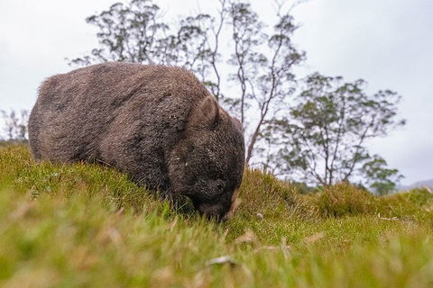 3-Day Cradle Mountain Photography Workshop - Accommodation Perth 0