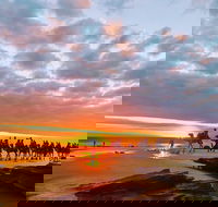 1 Hour Broome Sunset Camel Tour - Accommodation Perth