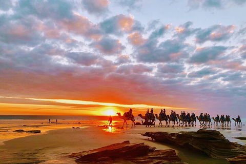1 Hour Broome Sunset Camel Tour - Perth Resorts 0